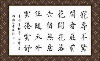 葵字硬笔成人书法视频,一笔一划展现艺术魅力
