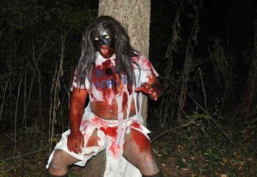 女人变成人形狼人视频,女人变狼的神秘面纱