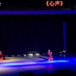 舞蹈心声成人舞蹈视频,成人舞蹈视频中的情感释放与心灵之旅