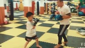 练习成人散打视频,跟随视频学招式