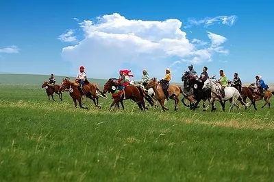 趣味成人骑马椅子视频,趣味成人骑马椅子视频大揭秘