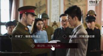 国产精品谍战游戏,国产精品谍战游戏，揭秘抗战风云中的生死较量